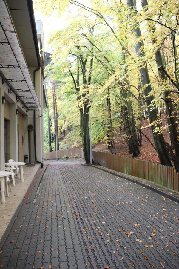 Hostel Lesny *